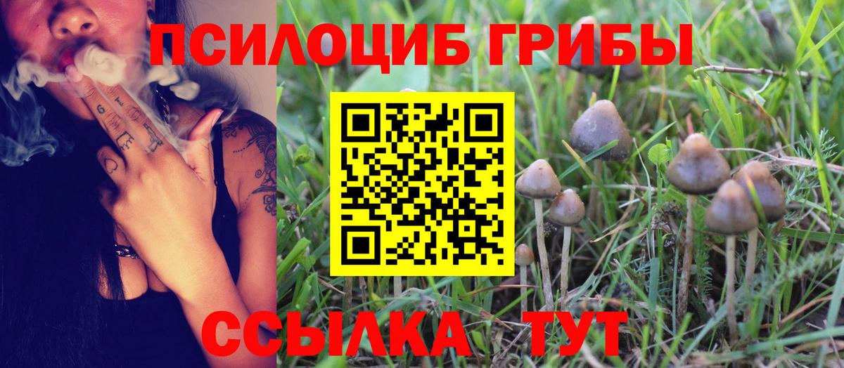 Псилоцибиновые грибы GOLDEN TEACHER  Вход с VPN  Южноуральск 